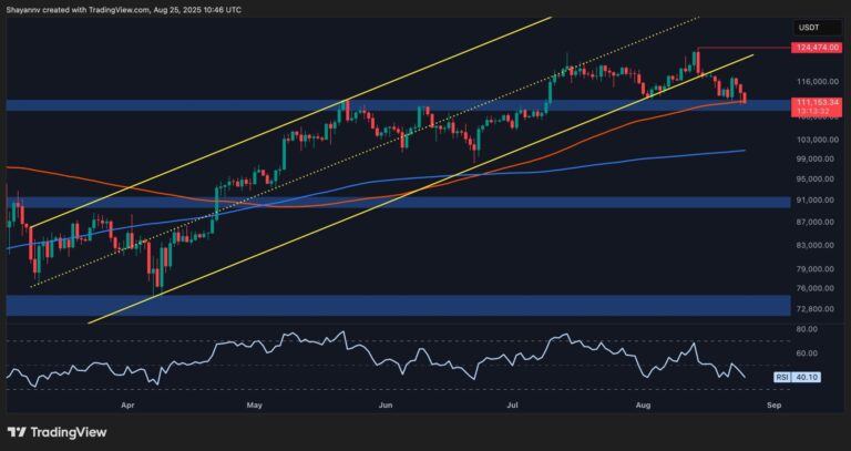 Bitcoin Price Analysis: BTC at Critical Point for Bull Run Continuation