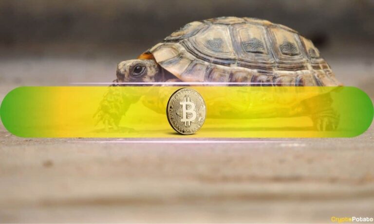 Why Is Bitcoin Crawling This Cycle? Analyst Reveals the Hidden Factors