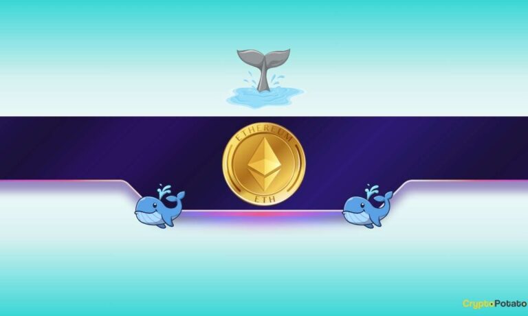 What Are Big Ethereum (ETH) Investors Up To?