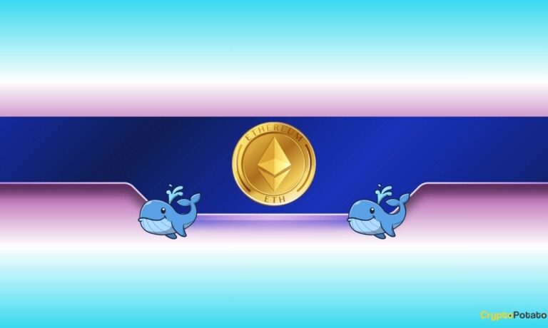 Ethereum Whales Unfazed by the Correction: Here’s How Much They Bought