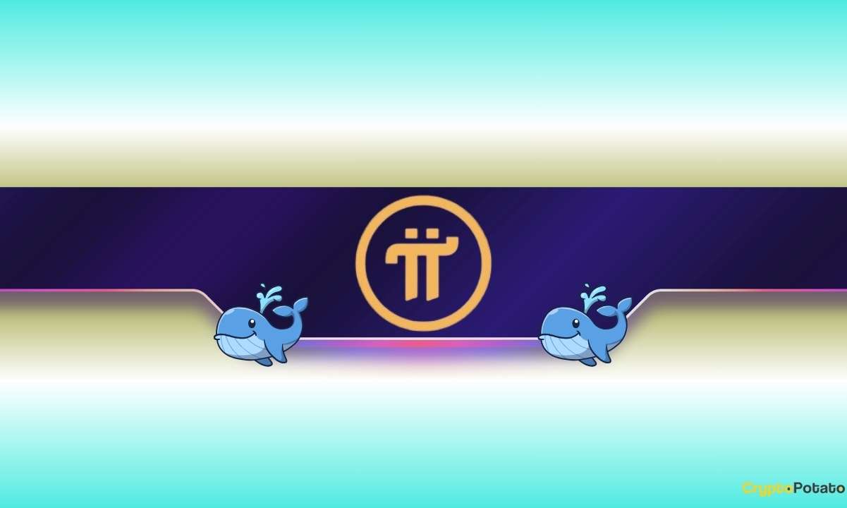 Pi Network’s Price Plummets by 20% Weekly, but This Mysterious Whale Keeps Buying Pi: Details