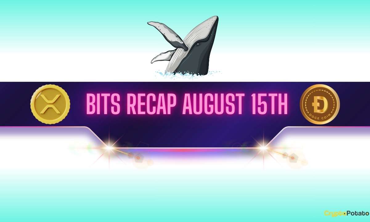 XRP and DOGE Whales Make Big Moves, BNB Set New Record: Bits Recap August 15th