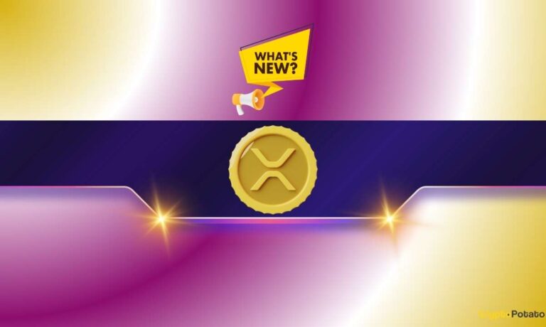 Ripple (XRP) News Today (August 13th)
