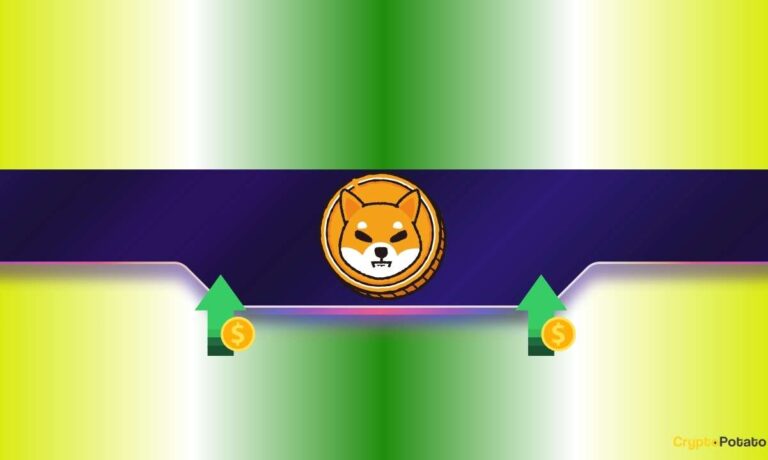 Why Is the Shiba Inu (SHIB) Price Up Today?