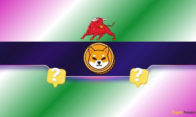 2 Reasons Why the Shiba Inu (SHIB) Price Might Rally Soon