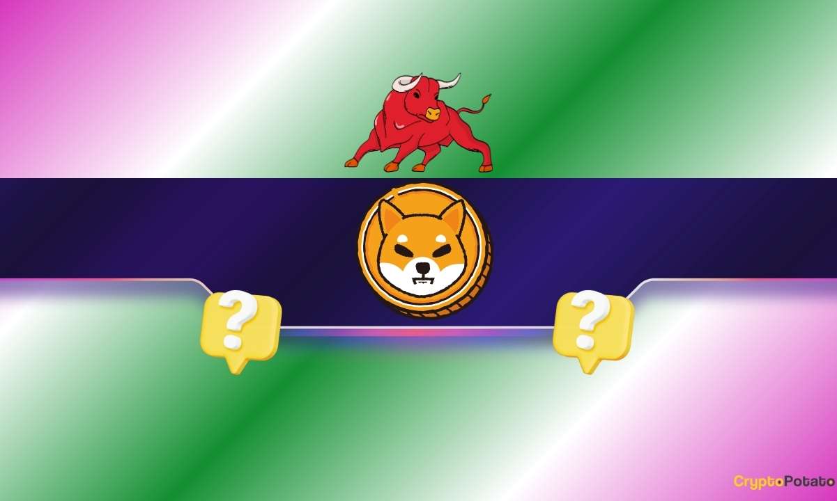 2 Reasons Why the Shiba Inu (SHIB) Price Might Rally Soon