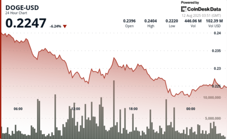Sharp 7% Drop Sends DOGE Toward 22-Cents Support on High-Volume Selloff