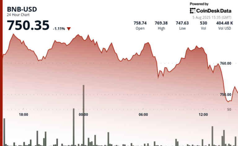 BNB Falls Below $750 as Crypto Market Sell-Off Erases Corporate-Fueled Optimism