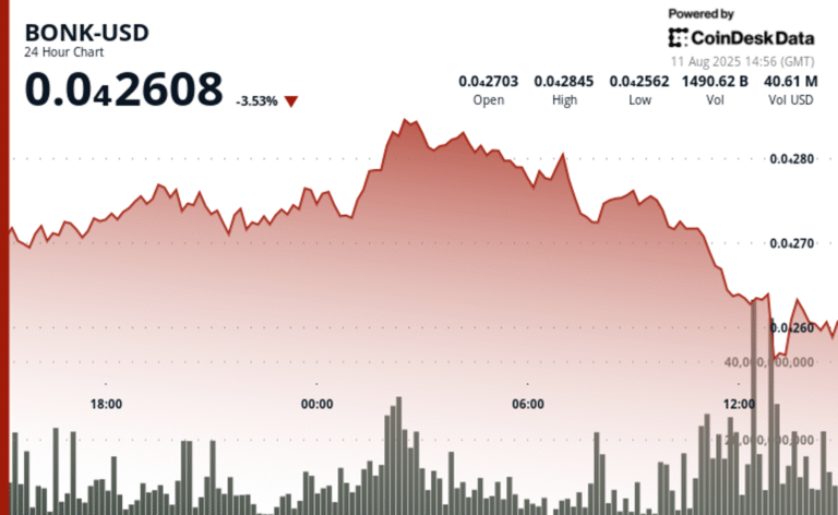 BONK Retreats 8% After Climbing to August High