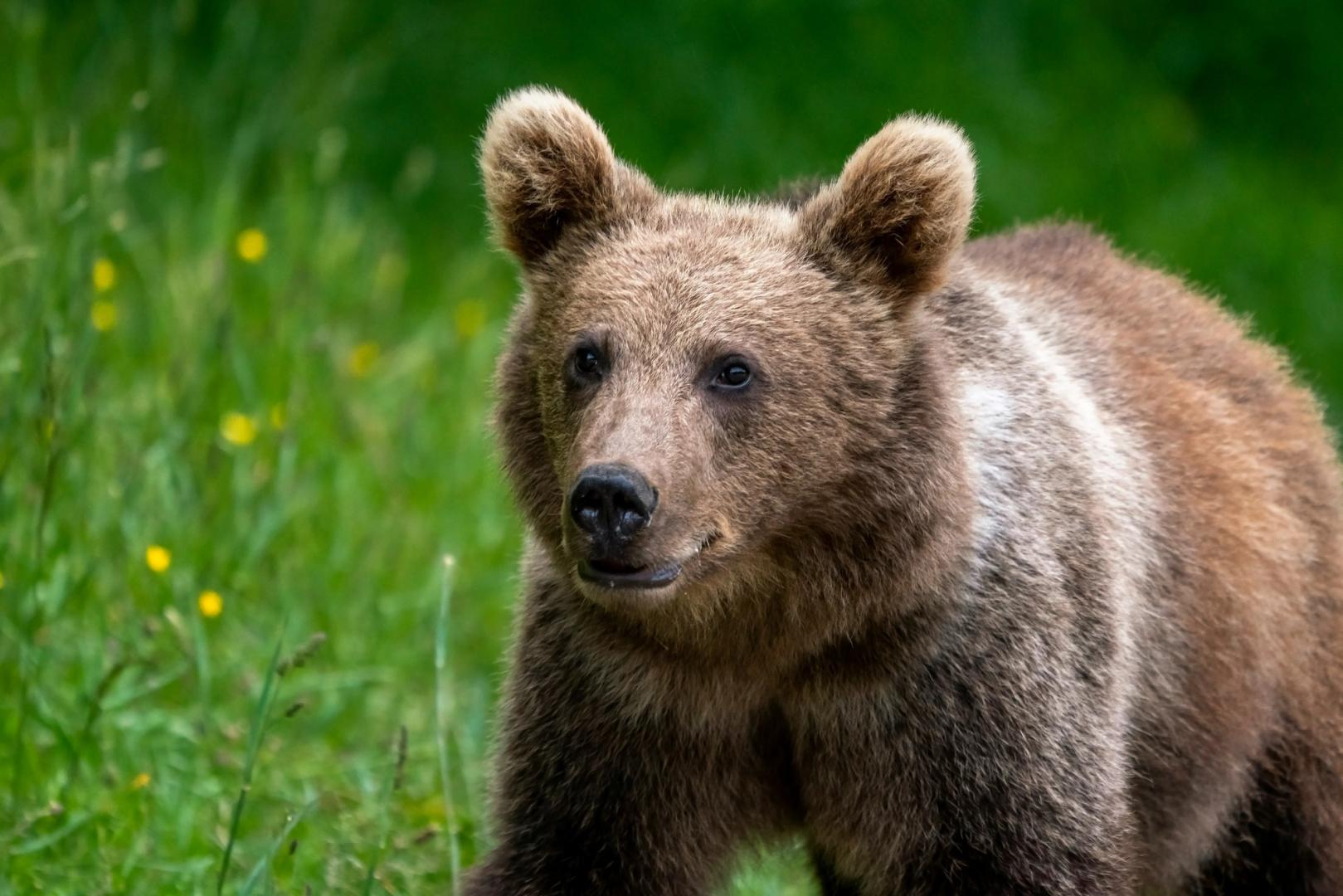 Top Crypto Traders Flip Bearish on BTC, ETH in Major Sentiment Shift