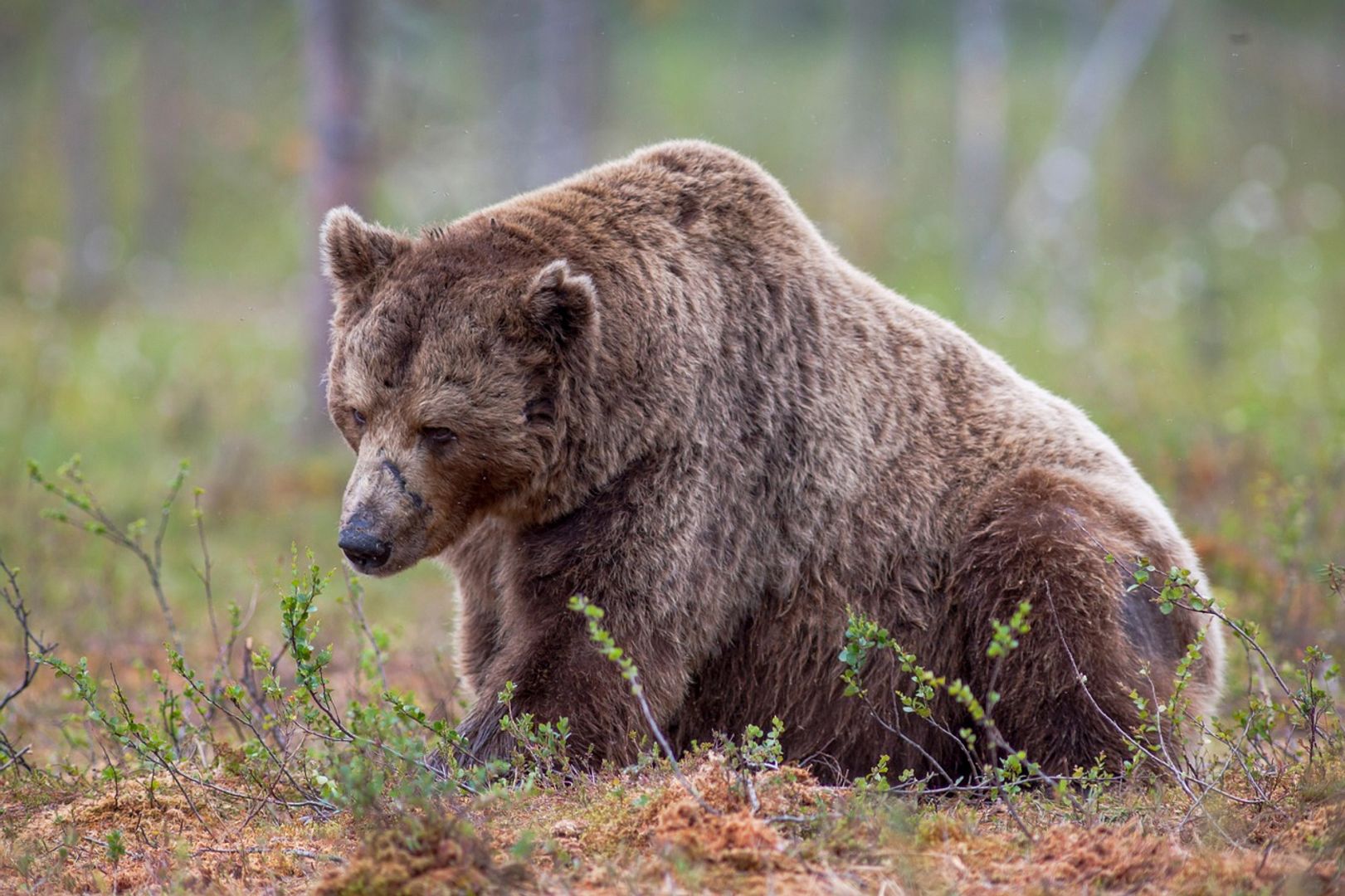 Markets Today: Bitcoin Bears Start to Emerge, Ye's YZY Surges Then Slumps