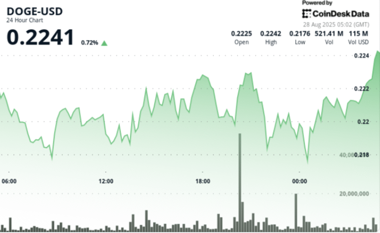 DOGE Faces Selling Pressure as $200M Whale Transfer to Binance Caps Rally