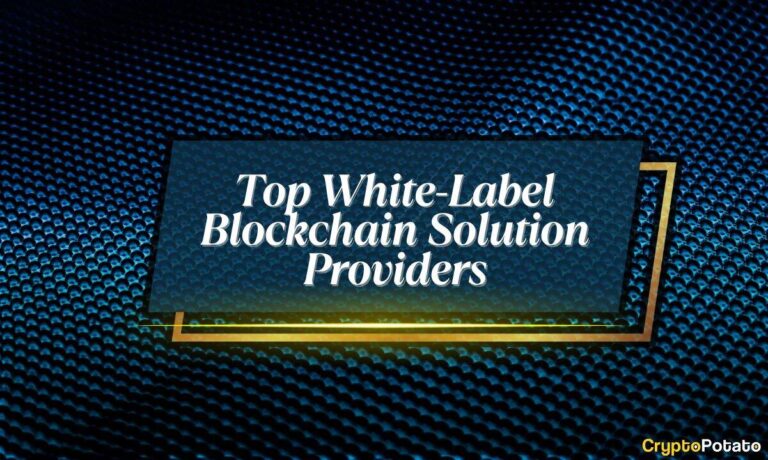 Top 10 White Label Blockchain Solution Providers