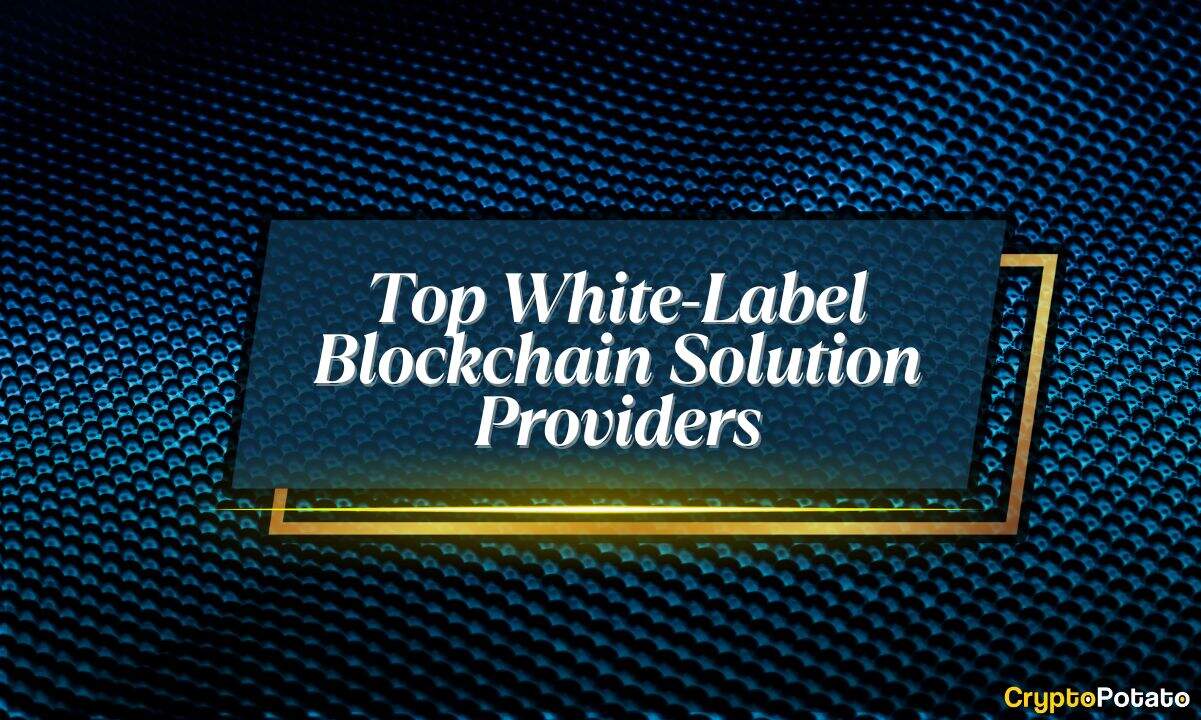 Top 10 White Label Blockchain Solution Providers