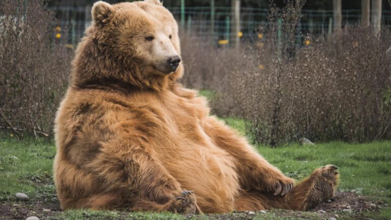 Bitcoin Options Tilt Bearish Ahead of Friday's Expiry: Crypto Daybook Americas