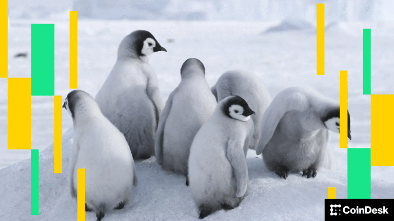 Crypto Markets Today: Bitcoin Pulls Back, PENGU Open Interest Surges