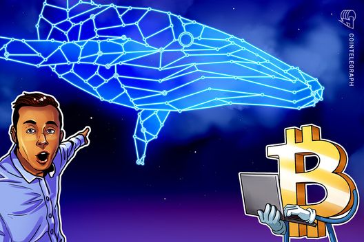Bitcoin whale is ‘dumping’ again as BTC flatlines at $116K