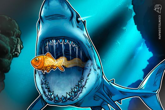 UK Bitcoin treasury company Smarter Web Company weighs acquisitions