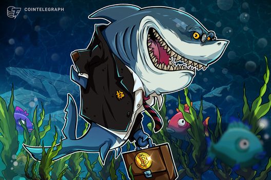 Bitcoin ‘sharks’ add 65K BTC in a week in key demand rebound