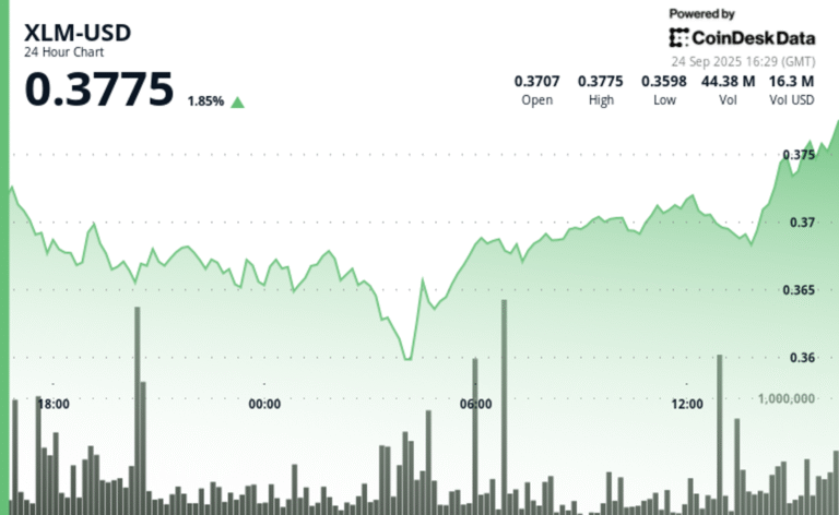 XLM Consolidates After Sharp Decline, Testing Key Support Levels