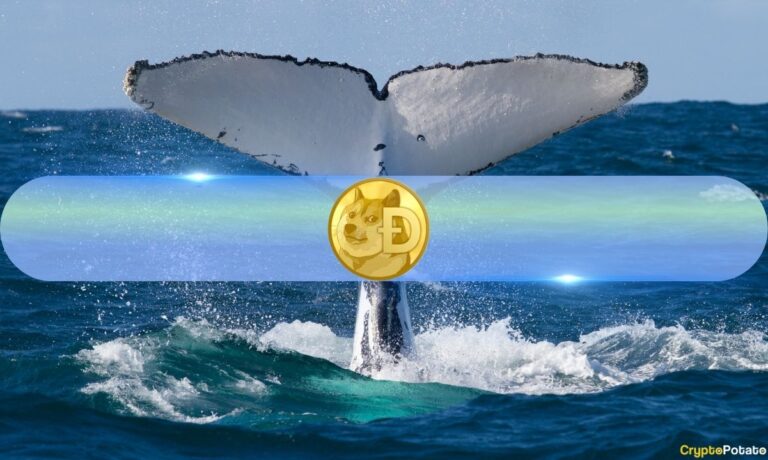 How Are DOGE Whales Reacting to Possible Dogecoin ETF? Santiment Weighs In