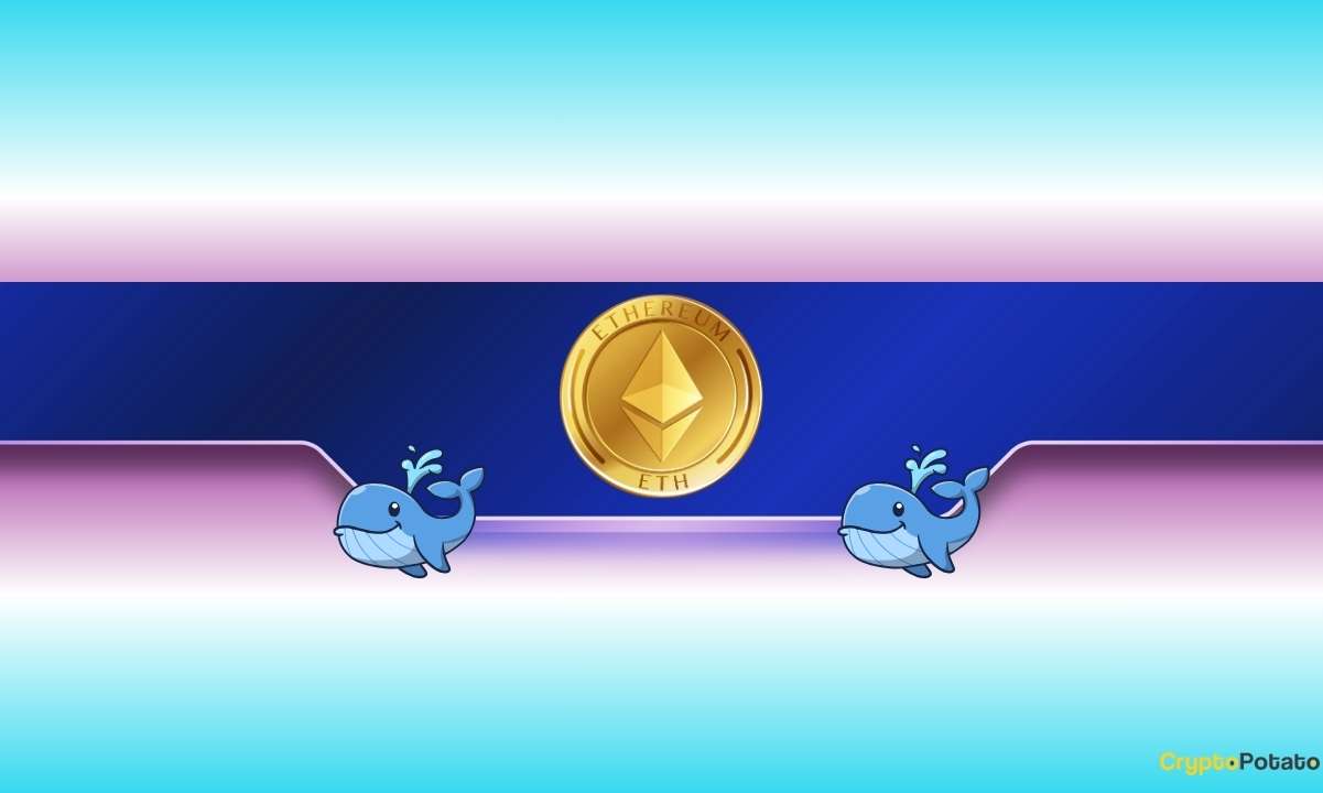 Whales Are Buying ETH Again, But Is a Rally Still Possible?