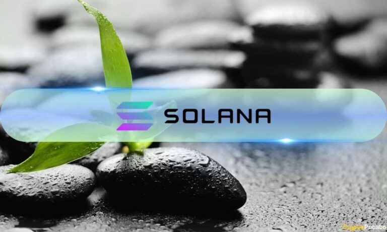 Solana (SOL) Has the Perfect Recipe for a Massive Rally, Bitwise’s Matt Hougan