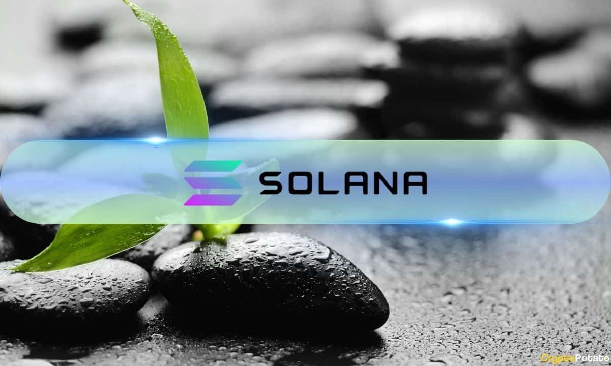 Solana (SOL) Has the Perfect Recipe for a Massive Rally, Bitwise’s Matt Hougan