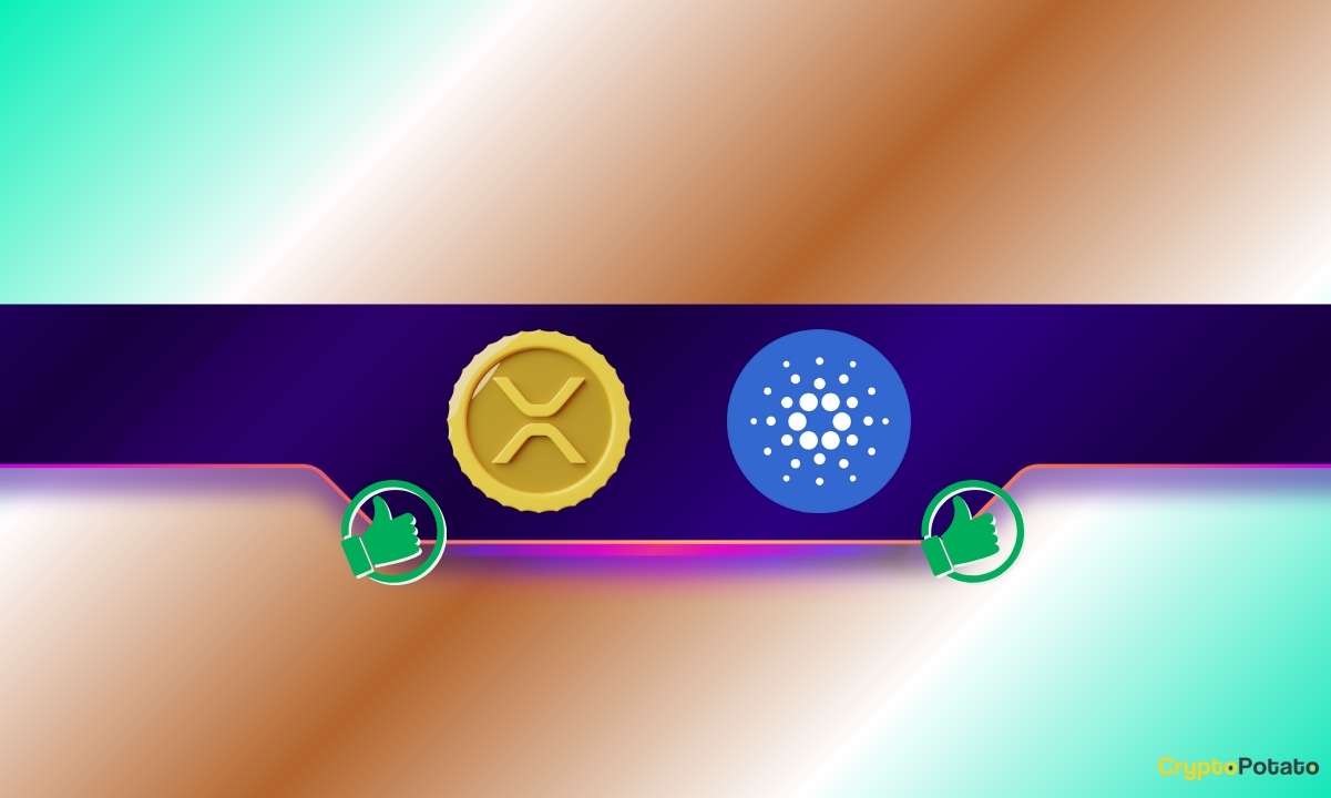Cardano’s Hoskinson Shouts Out Ripple and XRP Army: Here’s Why