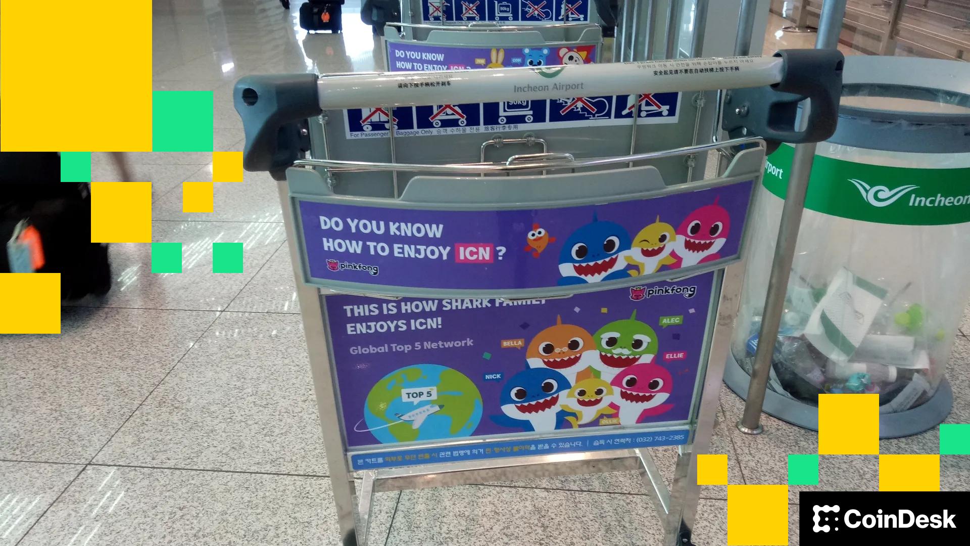 Hyped 'Baby Shark' Token on Story Protocol Drops 90% as Creator Denies Authorizing Isssue