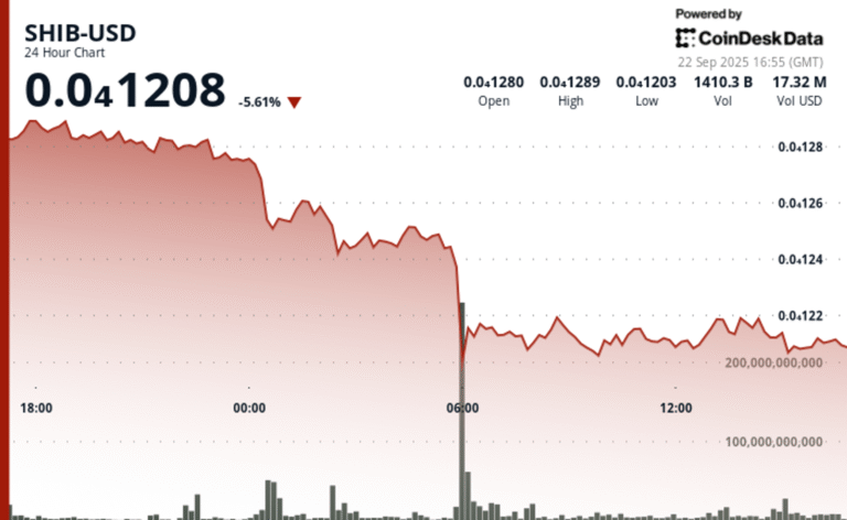 Shiba Inu Tanks 5%, SHIB-DOGE Bounces From Record Lows