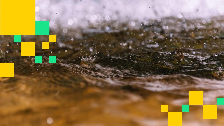 Hyperliquid Introduces 'Based Streams,' a DEX-Powered Live Streaming Platform