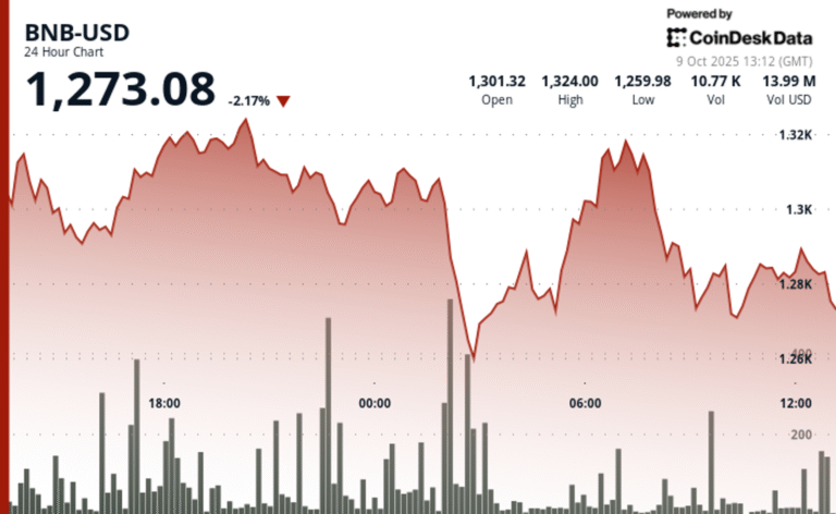 BNB Falls 2% as Memecoin Trades Unwind Despite 'Hard to Ignore' Rally