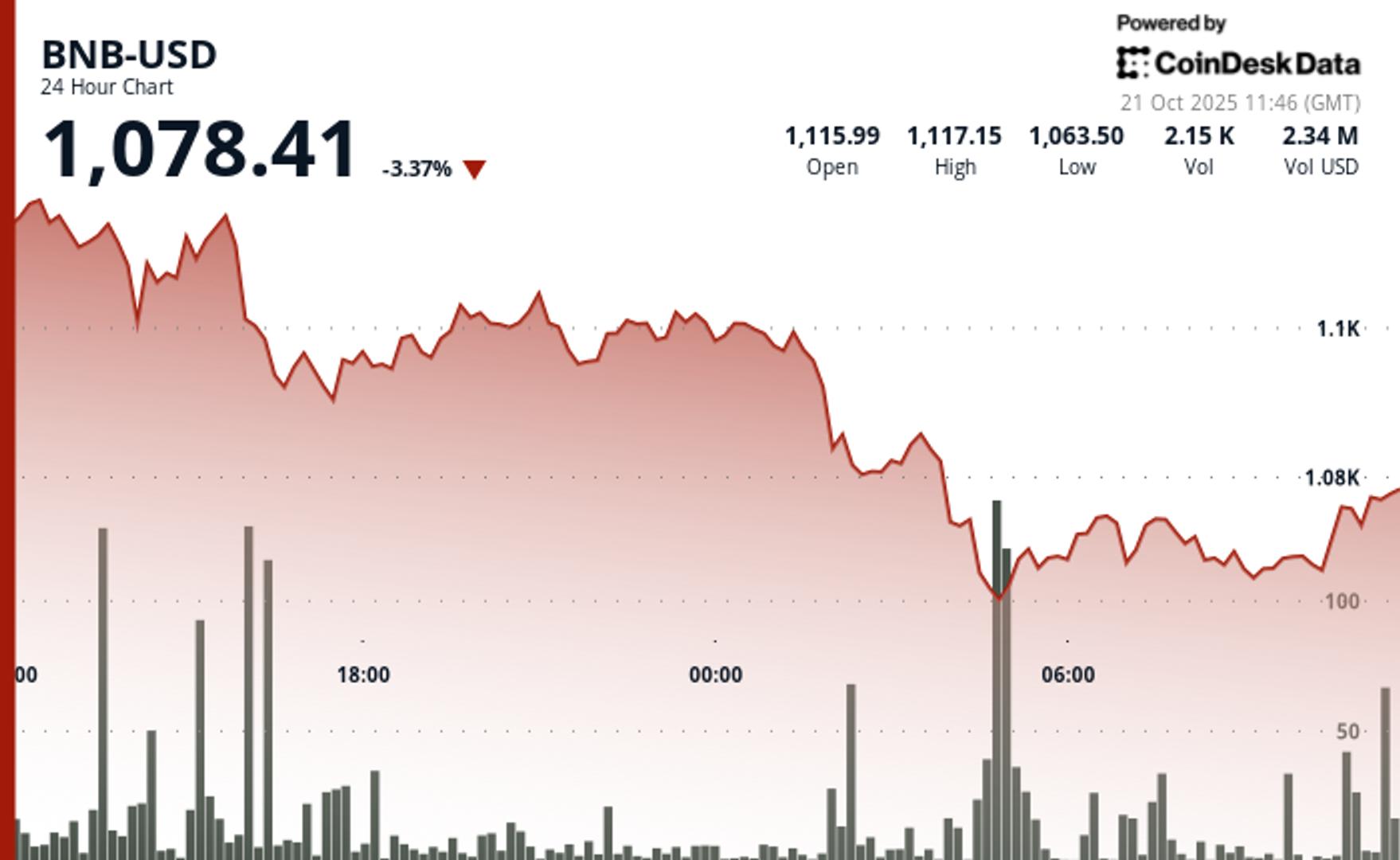 BNB Falls 3.3% as Market Shakeout Cuts Through Support