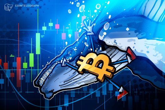 Bitcoin whale opens $235M BTC short, after netting $200M from market crash