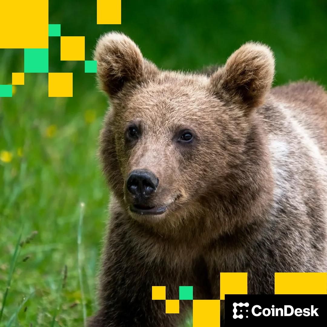 Bitcoin Treasury Firms Now Valued at Less Than Their BTC Holdings Amid Crumbled Sentiment