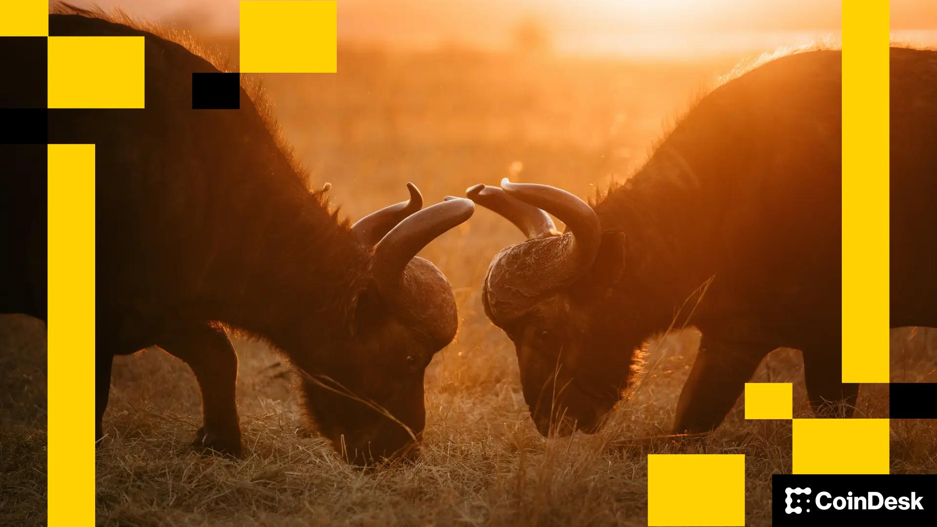 Tether and Circle’s Dominance Is Being Put to the Test