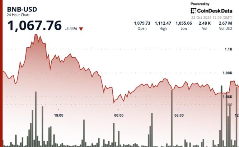 BNB Drops Below $1,100 as Memecoin Activity and Perpetuals Fuel Chain Growth