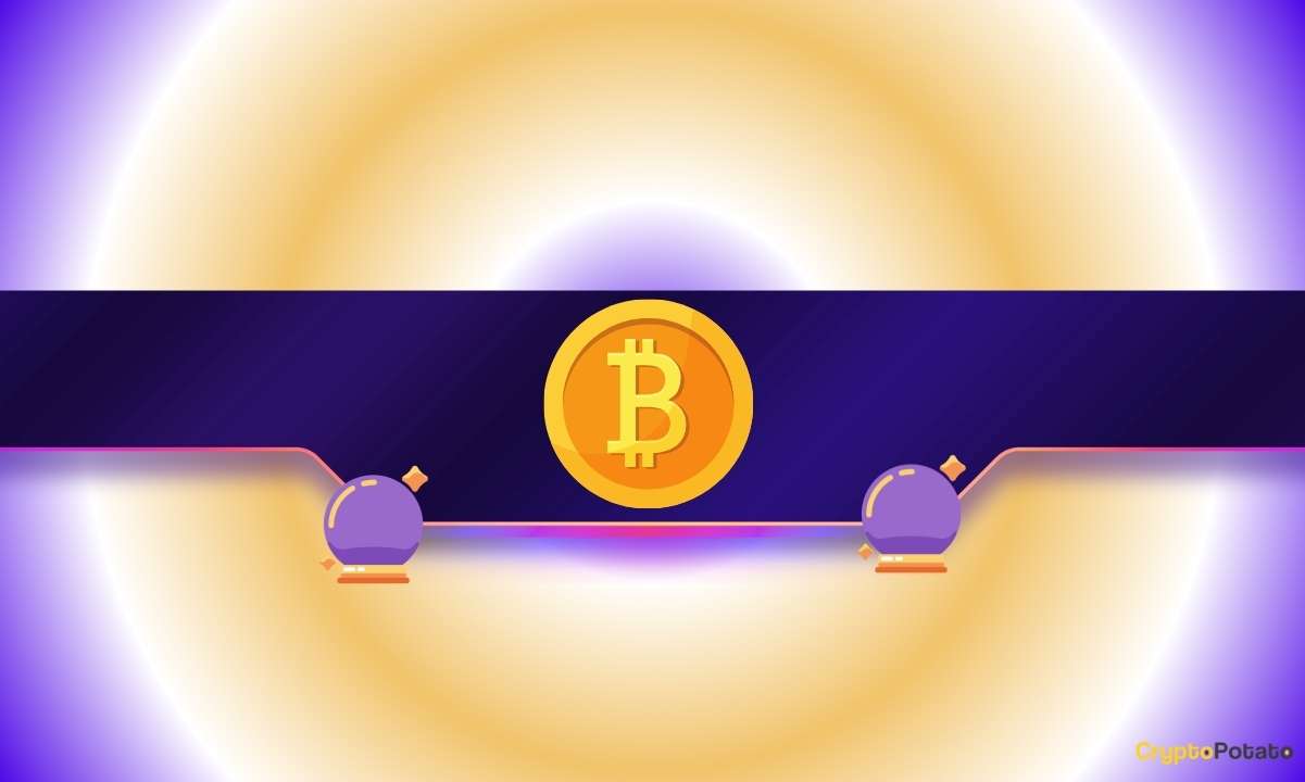 Top Bitcoin (BTC) Price Predictions Following the Crash: New ATH in Sight?