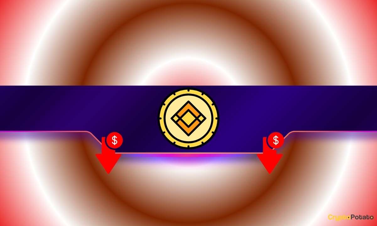 These Altcoins Crash by Double Digits Following Delisting From Binance: Details