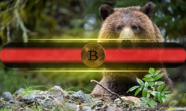 Bitcoin Bears Pile In: $1.15B in Options Signal Growing Risk