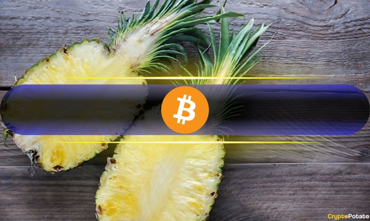 Bitcoin’s (BTC) Double-Digit Post-Halving Surge Hasn’t Hit Overbought Yet