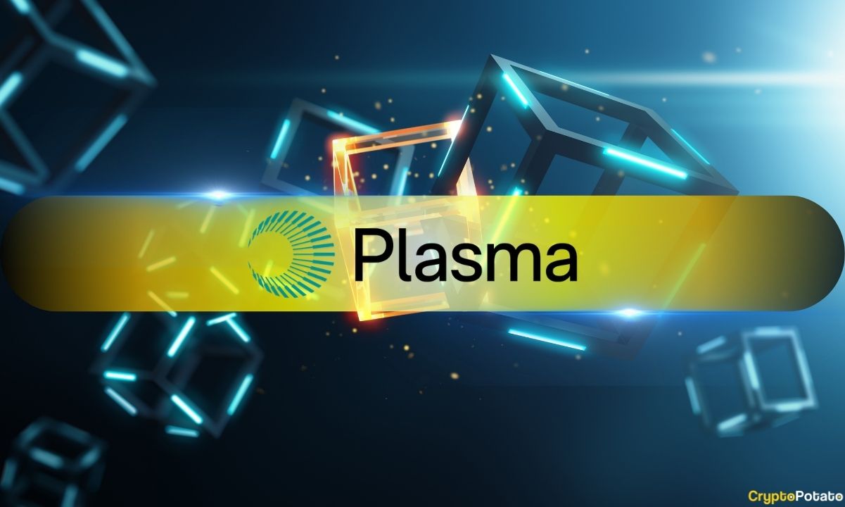 Plasma CEO Denies XPL Token Sale Rumors