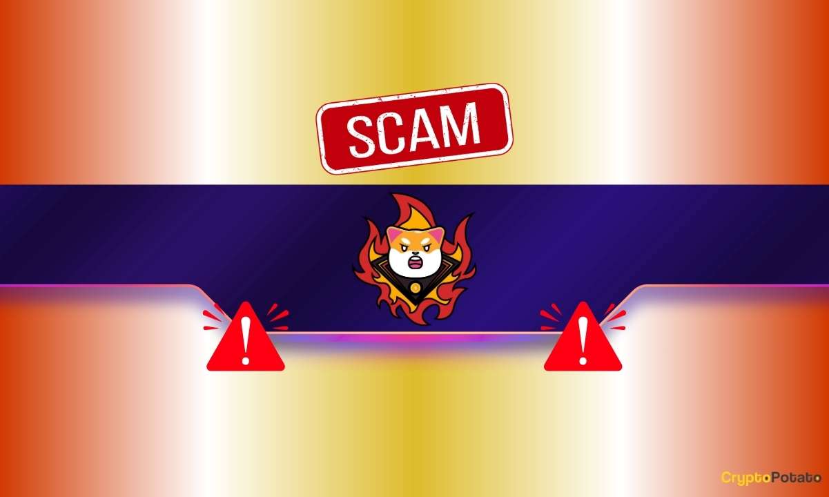Critical Warning Concerning Shiba Inu (SHIB) Users: Details