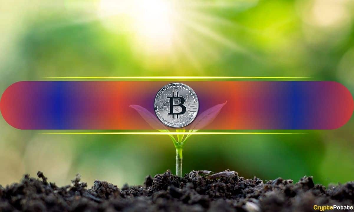 Was Last Week’s Deleveraging Event a Necessary Reset for The Bitcoin Market? Glassnode Weighs In