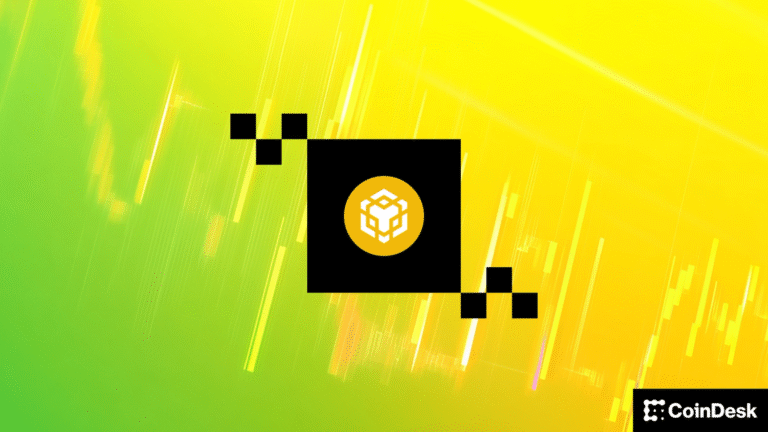 CEA Industries Total BNB Holdings Rise to 480K as Token Hits Record High