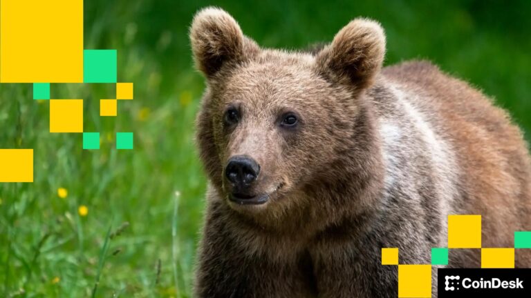 Crypto Markets Today: Bitcoin, Ether Drop as Selling Pressure Returns