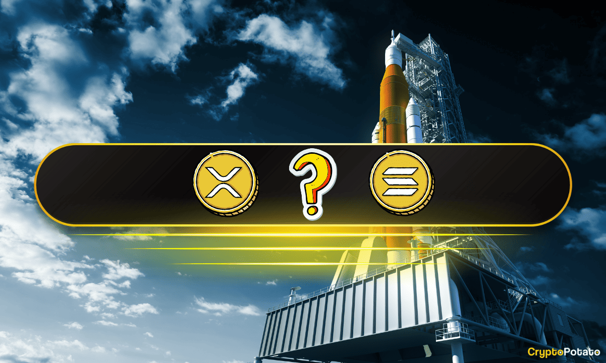 Altcoins Endure Record-Breaking Bear Market – But a Bullish Divergence Could Change Everything