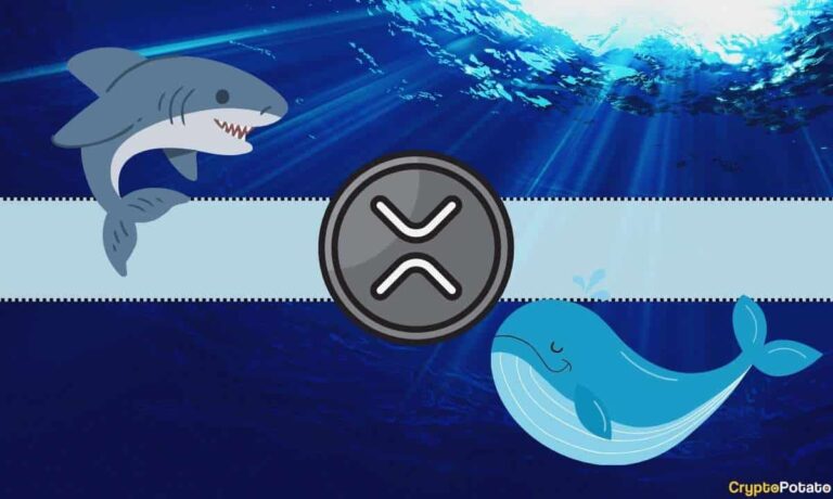 Understanding Today’s Crash in XRP Prices: Ripple Whales Behind the Move Below $2.5?