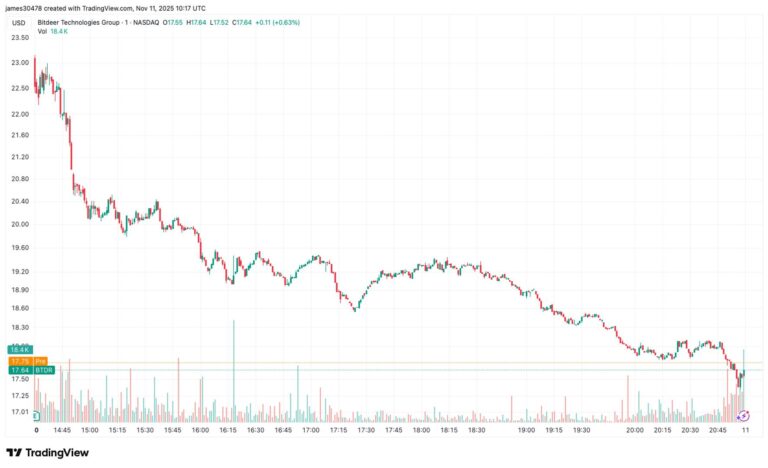 Bitdeer Fell 20% on Wider-Than-Estimated Net Loss, ASIC Chip Delay